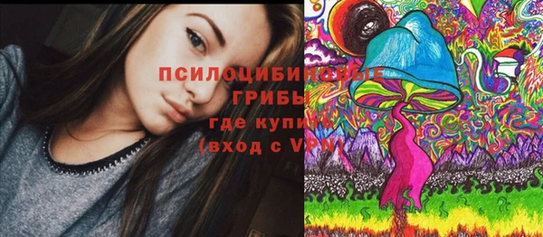 не бодяженный Аркадак
