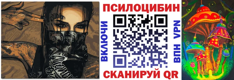 Псилоцибиновые грибы Psilocybe  купить   Мичуринск 